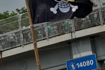 one piece, flag, lanun, hari kemerdekaan indonesia, jolly roger