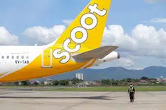 Scoot, gangguan, penerbangan