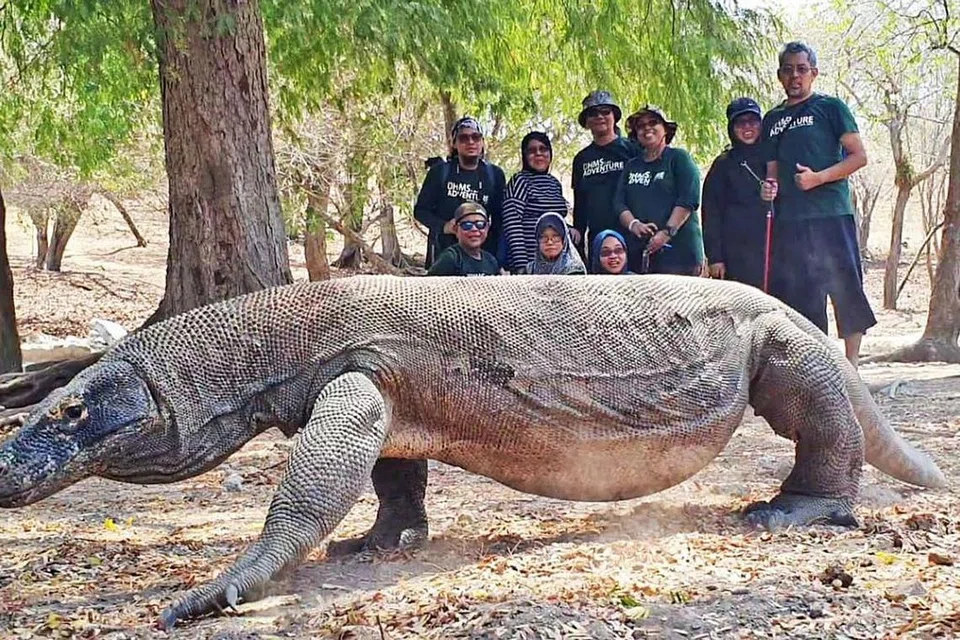 BERDEPAN 'NAGA RAKSASA': Di Pulau Rinca, kami berpeluang melihat dan berjalan dengan binatang serupa biawak raksasa yang dipanggil komodo.
