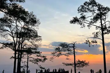 Taman Negara Phu Kradueng diumumkan tutup untuk tempoh masa yang tidak terbatas.