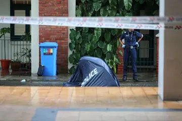 KEMATIAN LUAR BIASA: Pegawai polis yang dimaklumkan tentang seorang lelaki yang ditemui mati di kaki sebuah blok HDB menemui mayat ibunya dalam sebuah flat di tingkat 11 Blok 637 Veerasamy Road.