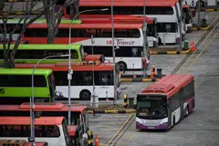 SBS Transit, bas