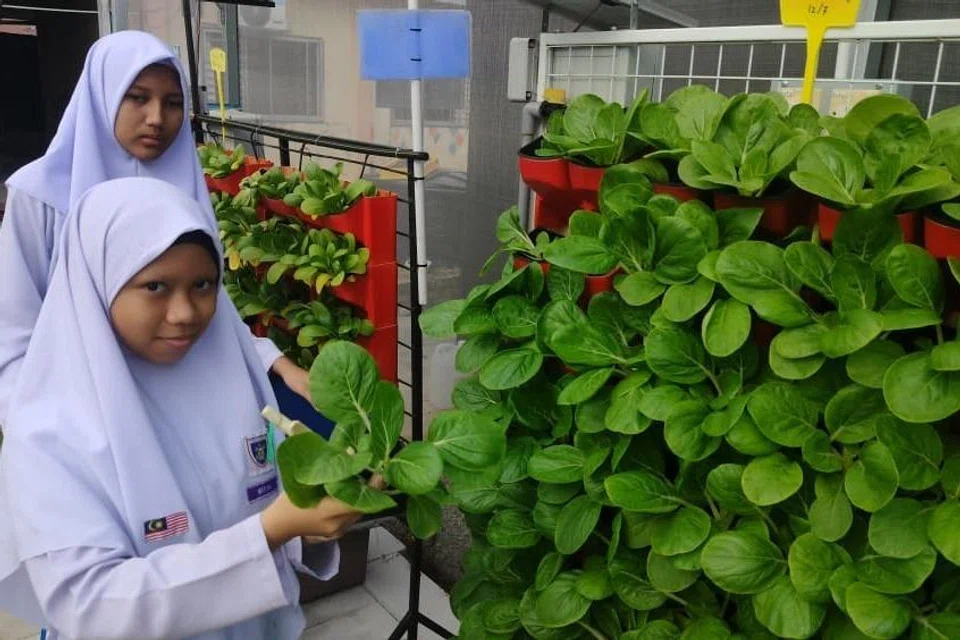 Pelajar Sekolah Menengah Kebangsaan (SMK) Pengkalan Permatang, Kuala Selangor, Selangor, bersama hasil tanaman di sekolah yang boleh dibawa pulang untuk makanan keluarga.