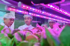 TEKNOLOGI TINGGI: Pengerusi program diploma dalam sains marin dan akuakultur, Dr Steven Fong (kiri), menjelaskan sistem perkebunan moden yang ditampilkan dalam Makmal Teknologi Pertanian Politeknik Republic semasa kunjungan Menteri Negara Kanan (Perdagangan dan Perusahaan) Dr Koh Poh Koon semalam. Turut bersama mereka ialah Encik Yeo Li Pheow (kanan). - Foto BH oleh JASMINE CHOONG