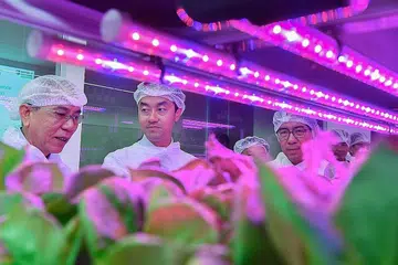 TEKNOLOGI TINGGI: Pengerusi program diploma dalam sains marin dan akuakultur, Dr Steven Fong (kiri), menjelaskan sistem perkebunan moden yang ditampilkan dalam Makmal Teknologi Pertanian Politeknik Republic semasa kunjungan Menteri Negara Kanan (Perdagangan dan Perusahaan) Dr Koh Poh Koon semalam. Turut bersama mereka ialah Encik Yeo Li Pheow (kanan). - Foto BH oleh JASMINE CHOONG