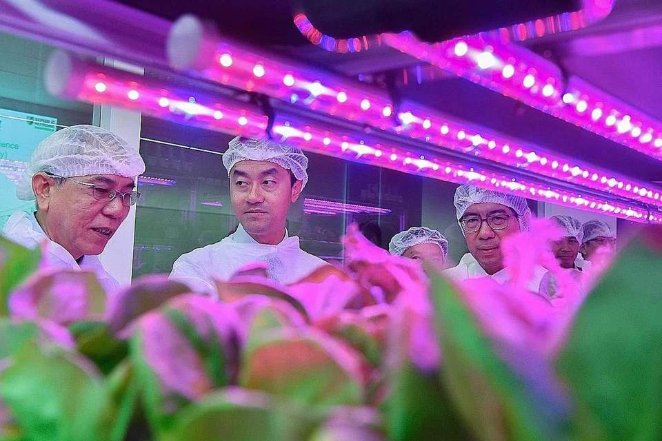 TEKNOLOGI TINGGI: Pengerusi program diploma dalam sains marin dan akuakultur, Dr Steven Fong (kiri), menjelaskan sistem perkebunan moden yang ditampilkan dalam Makmal Teknologi Pertanian Politeknik Republic semasa kunjungan Menteri Negara Kanan (Perdagangan dan Perusahaan) Dr Koh Poh Koon semalam. Turut bersama mereka ialah Encik Yeo Li Pheow (kanan). - Foto BH oleh JASMINE CHOONG
