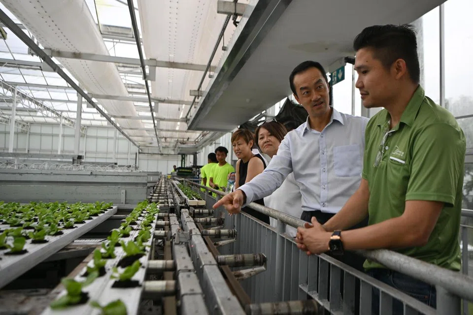 KUNJUNGI LADANG BARU: Menteri Negara Kanan (Kemampanan dan Sekitaran merangkap Tenaga Manusia), Dr Koh Poh Koon (dua dari kanan), melawat ladang Green Harvest yang baru dibuka pada 24 Oktober.