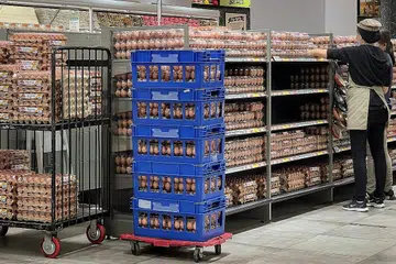 HARGA TELUR NAIK: Harga telur telah meningkat sepanjang dua bulan lalu kerana faktor pasaran dalam sekitaran yang tidak menentu, seperti permintaan dan bekalan, harga makanan ayam, kos logistik, dan kekurangan tenaga pekerja. - Foto BH oleh GAVIN FOO