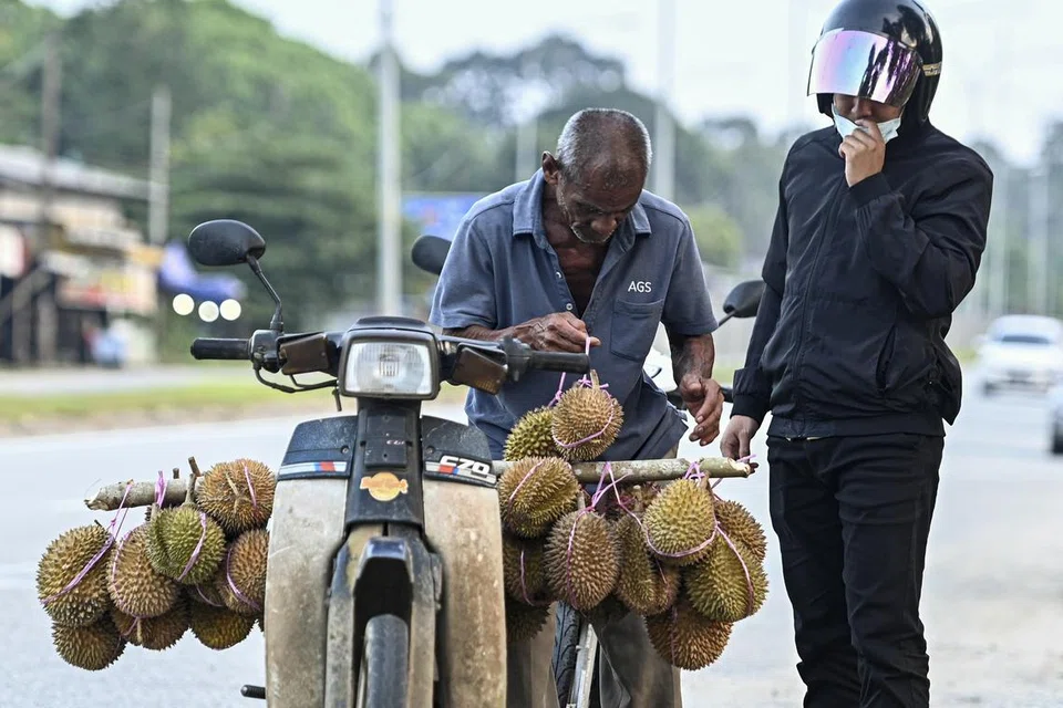 JUAL DURIAN: Seorang penjual durian, Encik Sulong Yusof, kelihatan melayani pelanggan semasa menjual durian kampung dengan menunggang motosikal di Kampung Binjai Rendah, Marang, Terengganu.