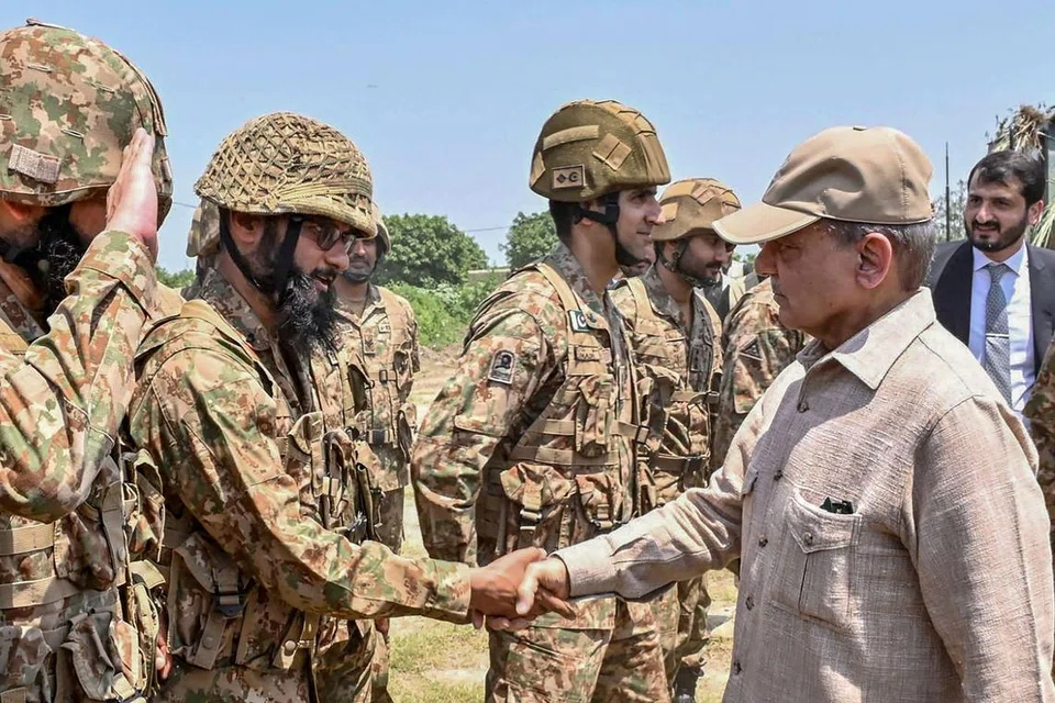 Shehbaz Sharif, Pakistan