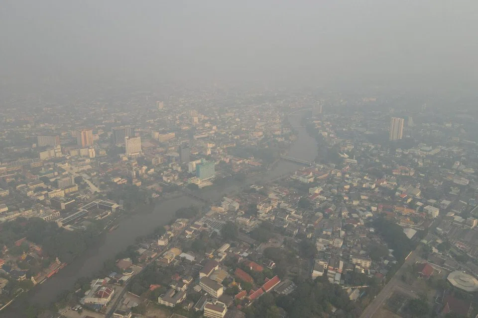 jerebu