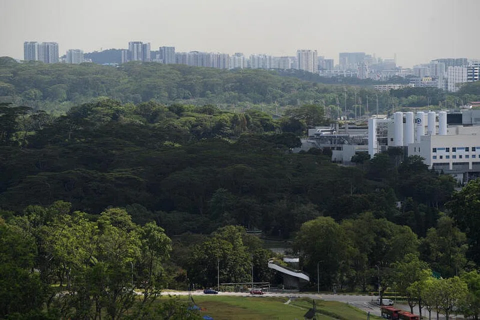  Singapura telah mengambil langkah ketara untuk mengekang pertumbuhan pengeluaran karbon.