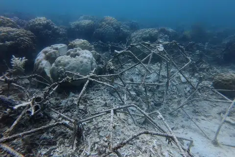 Struktur reef star yang rosak dipercayai akibat aktiviti pengeboman ikan di kawasan Tapak Restorasi Terumbu Karang di Pulau Selakan, Taman Marin Tun Sakaran (TMTS), Semporna.
