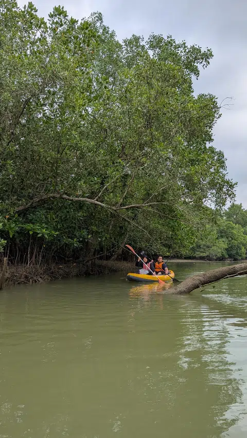 Berkayak... penulis dan suaminya melakukan kegiatan kayak di kawasan bakau Changi.