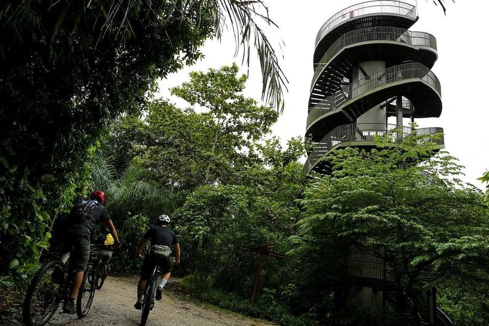5. MENARA PEMERHATIAN DI TAMAN SEMULA JADI CHESTNUT. - Foto BH oleh YONG LI XUAN