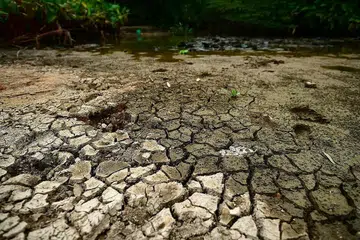 BAHANG: Cuaca panas terik menyebabkan paras air sebuah kolam di Pasir Ris merosot. - Foto fail