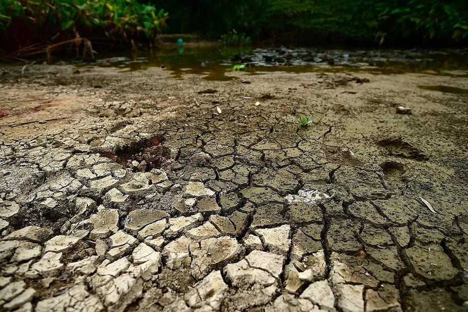 BAHANG: Cuaca panas terik menyebabkan paras air sebuah kolam di Pasir Ris merosot. - Foto fail