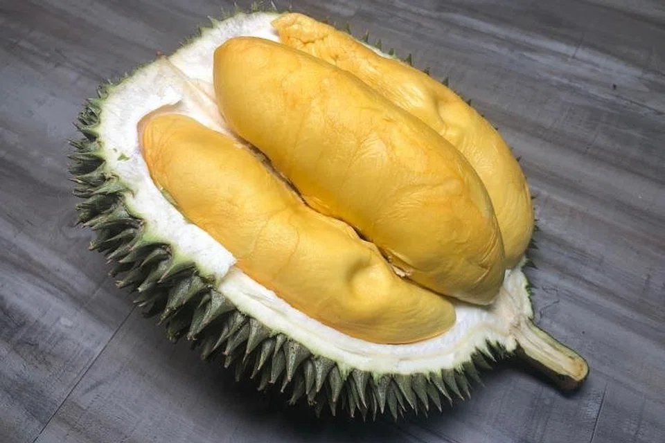 Ekonomi M’sia, Eksport durian China