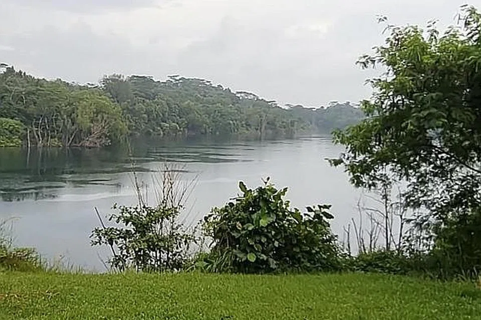 INDAH DAN DAMAI: Pemandangan dari puncak Puaka Hills di Pulau Ubin. - Foto GEMS SINGAPORE 