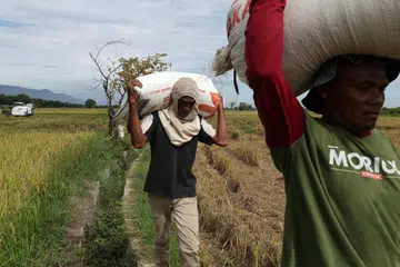 pemulihan hasil negara