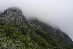 warga Singapura, diselamatkan menggunakan helikopter, Korea Selatan, gunung, tersasar memasuki kawasan larangan