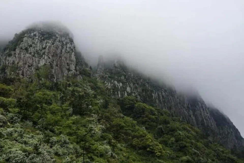 warga Singapura, diselamatkan menggunakan helikopter, Korea Selatan, gunung, tersasar memasuki kawasan larangan