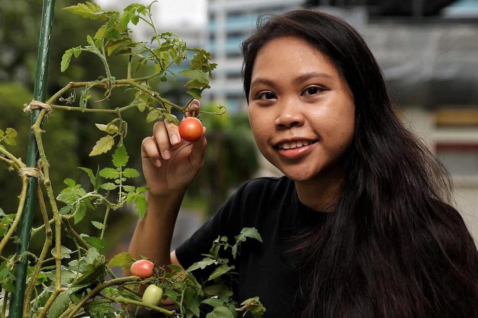 - Foto BH oleh JOEL CHAN 