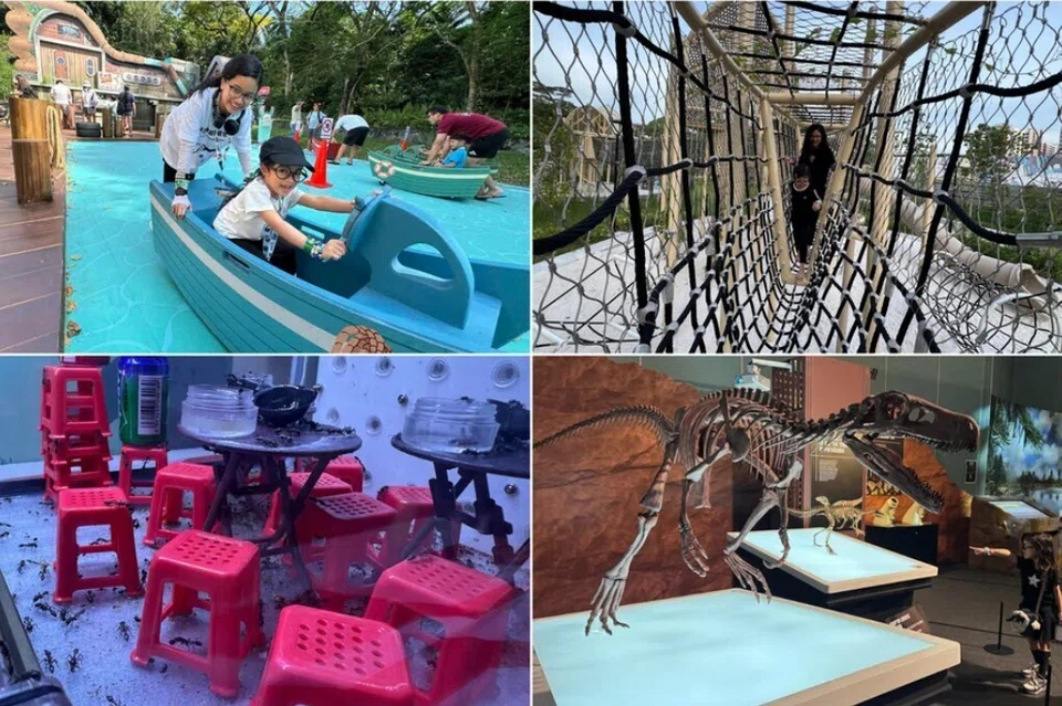 kegiatan, cuti sekolah, keluarga