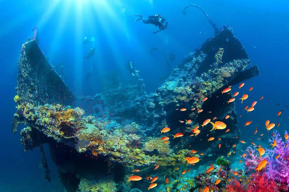 Selami air biru Lautan Merah di Tabuk dan saksikan keindahan terumbu karang berwarna-warni. Tabuk, yang terletak berhampiran sempadan Arab Saudi-Jordan, juga terkenal bagi wadi yang indah, iaitu lembah tidak berair di padang pasir.