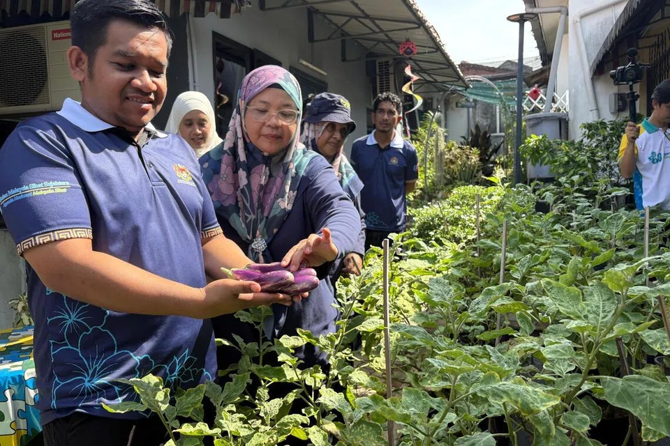 Penggerak Garden8, Cik Aida Haniza Adnan (dua dari kiri) membantu pelawat memetik hasil terung di kebun komuniti itu.