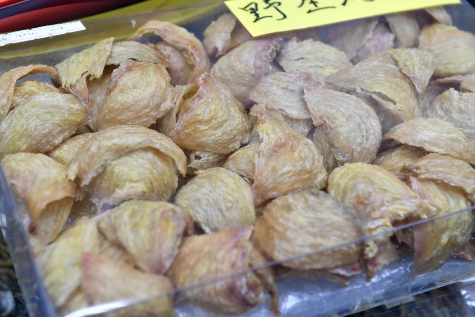 Sarang burung di Malaysia digantung daripada dieksport ke China. 