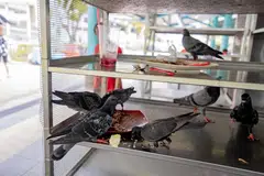 PERLU TANGANI ISU: Pada 2022, Singapura menjana lebih 800,000 tan sisa makanan, iaitu sama seperti dua mangkuk nasi untuk satu orang setiap hari. Jika jumlah sisa makanan dijana terus tinggi, ia akan menjejas infrastruktur pengurusan sisa dan sumber tanah, kata NEA.
