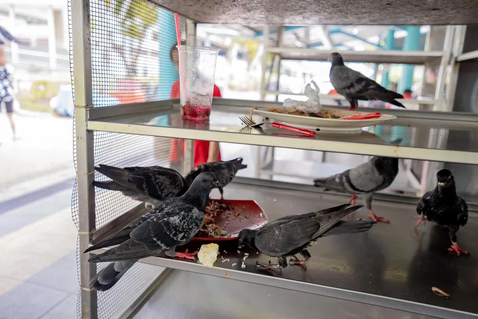 PERLU TANGANI ISU: Pada 2022, Singapura menjana lebih 800,000 tan sisa makanan, iaitu sama seperti dua mangkuk nasi untuk satu orang setiap hari. Jika jumlah sisa makanan dijana terus tinggi, ia akan menjejas infrastruktur pengurusan sisa dan sumber tanah, kata NEA.