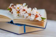 bahasa, berbunga, indah, alat hubungan 