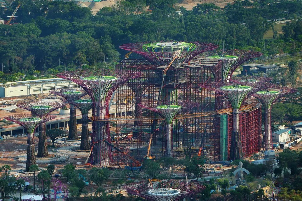‘SUPER TREES’: Gambar yang dipetik pada 2011 menunjukkan pokok buatan manusia atau ‘Super Trees’  di Gardens by the Bay yang sedang dibina. 