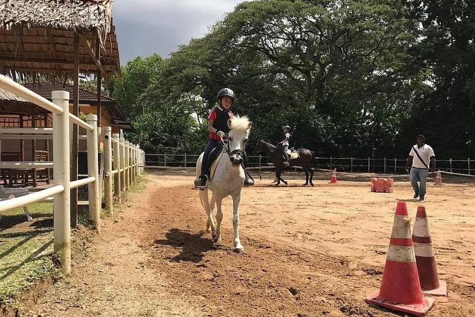 LEBIH MUDAH DAN SELESA: Dari stesen MRT rangkaian DTL seperti King Albert Park, pengunjung boleh mencapai tempat lain yang popular seperti The Grandstand, KAP & KAP Residences dan Gallop Stable (atas). - Foto GALLOP STABLE