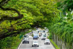 HARGA COE MEROSOT: Meskipun harga COE telah merosot dengan ketara sejak paras tertingginya pada Oktober 2023, ia masih berada pada paras tertinggi sejak sistem kuota diperkenalkan pada 1990.