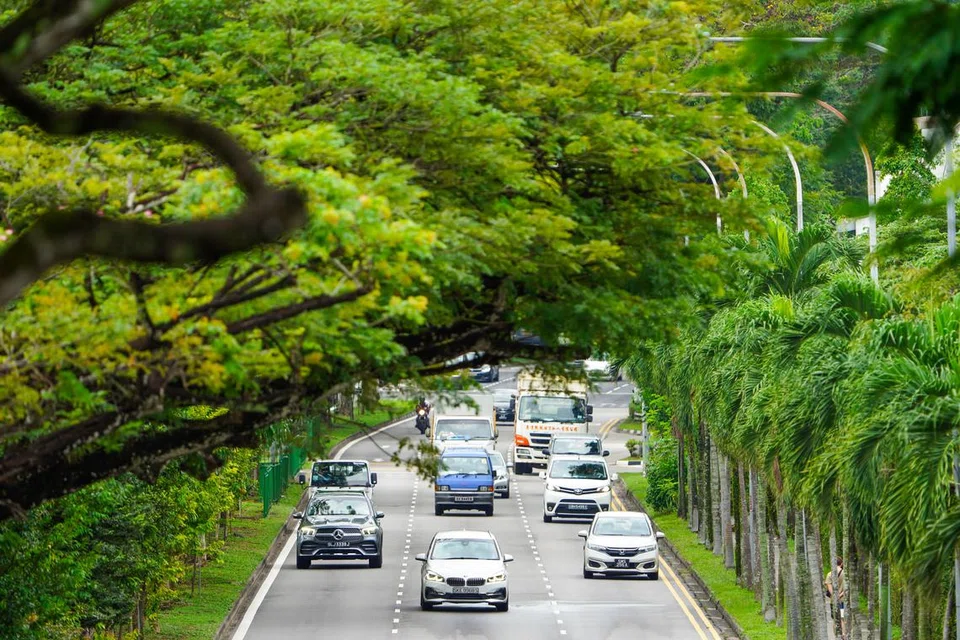 HARGA COE MEROSOT: Meskipun harga COE telah merosot dengan ketara sejak paras tertingginya pada Oktober 2023, ia masih berada pada paras tertinggi sejak sistem kuota diperkenalkan pada 1990.