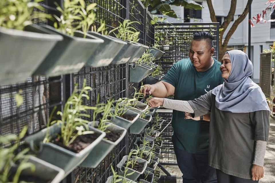 Kebun Herbalicious Garden di Marine Terrace bukan sahaja tempat untuk menanam pelbagai jenis tumbuhan bahkan berfungsi sebagai ruang terapeutik untuk penduduk. Gambar memaparkan Encik Firdaus Kordi dan Cik Safeah Bee Abul Kayum.