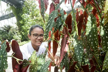 CIK NURZIANA: Sering memperkaya diri dengan pengetahuan hortikultur melalui kaedah mencuba dan belajar daripada kesilapan, pembacaan, kajian dan rujukan kepada ahli hortikultur kanan di Taman Di Persisiran. - Foto JOHARI RAHMAT