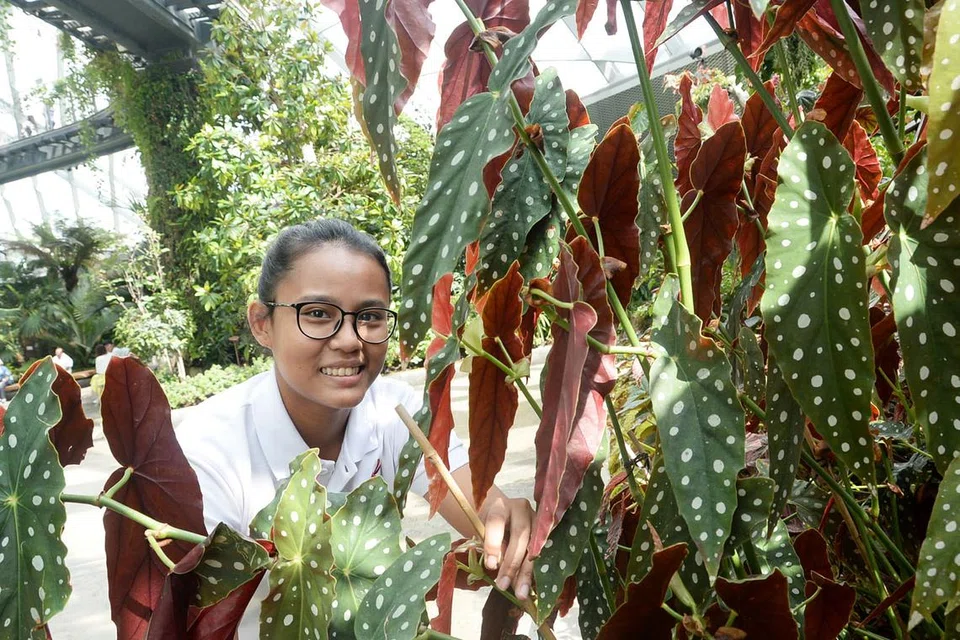CIK NURZIANA: Sering memperkaya diri dengan pengetahuan hortikultur melalui kaedah mencuba dan belajar daripada kesilapan, pembacaan, kajian dan rujukan kepada ahli hortikultur kanan di Taman Di Persisiran. - Foto JOHARI RAHMAT