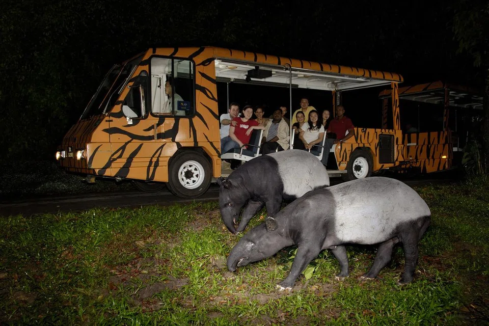 Safari Malam