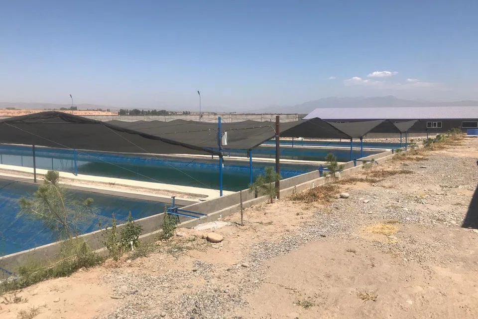 PELUANG TERNAKAN IKAN: Daerah Namangan di Uzbekistan menawarkan peluang ternakan ikan bagi pelabur asing. 