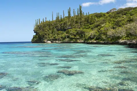 Pengunjung boleh menyelam dan berenang dalam air jernih New Caledonia sambil melihat kehidupan marin yang sangat indah.