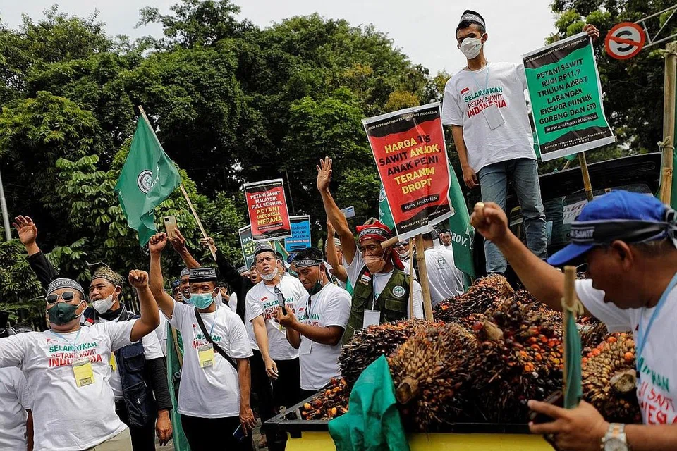 BANTAH EKSPORT MINYAK SAWIT: Petani kelapa sawit Indonesia mengambil bahagian dalam satu bantahan yang menuntut pemerintah menamatkan larangan eksport minyak sawit, di luar pejabat Kementerian Penyelarasan Ehwal Ekonomi, di Jakarta, Indonesia, semalam. - Foto REUTERS