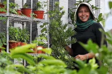 MINAT BERKEBUN SEJAK KECIL: Cik Haslinda mendedahkan bahawa beliau diberi tanggunjawab menjaga dan menyiram tanaman di rumahnya selepas pulang dari sekolah. Beliau juga diajar menuai, memangkas dan jika perlu mengalih tanaman yang matang ke pasu yang lebih besar. - Foto BH oleh JOEL CHAN