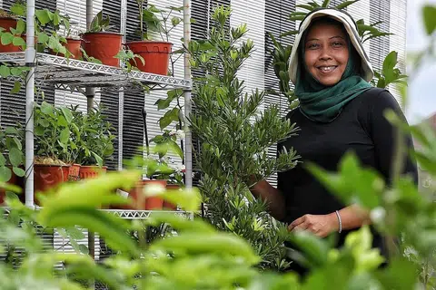 MINAT BERKEBUN SEJAK KECIL: Cik Haslinda mendedahkan bahawa beliau diberi tanggunjawab menjaga dan menyiram tanaman di rumahnya selepas pulang dari sekolah. Beliau juga diajar menuai, memangkas dan jika perlu mengalih tanaman yang matang ke pasu yang lebih besar. - Foto BH oleh JOEL CHAN