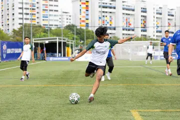 Fiesta Bola Sepak SPH Media, penyertaan 18 syarikat, Piala Dunia