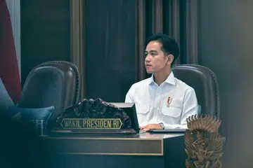 kelayakan pendidikan Gibran, Mahkamah Konstitusi Indonesia, undang-undang pilihan raya