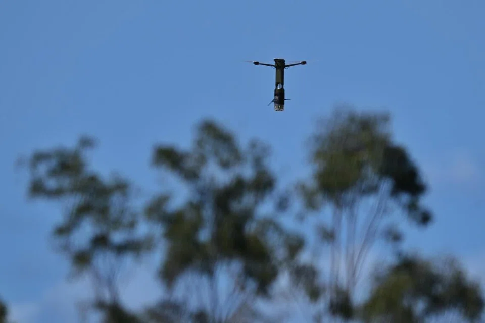 SAF, dron, latihan di Australia,  Latihan Wallaby, Locust 